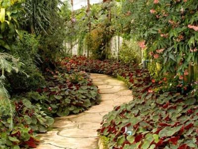 Beautiful garden walkway full of trees and plants